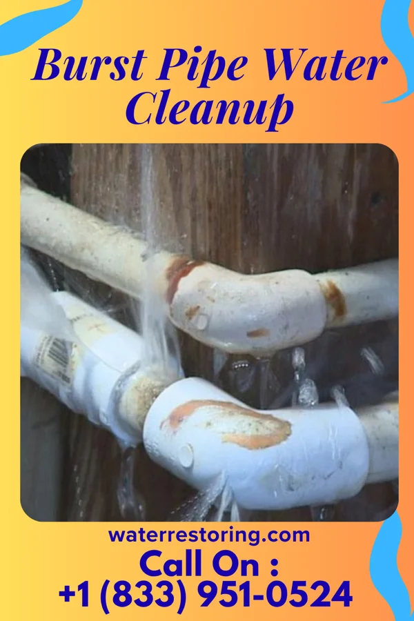 Burst Pipe Water Cleanup in Gratis, OH