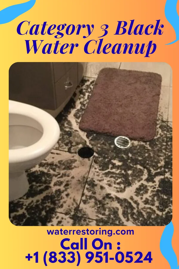 Category 3 Black Water Cleanup in Gratis, OH