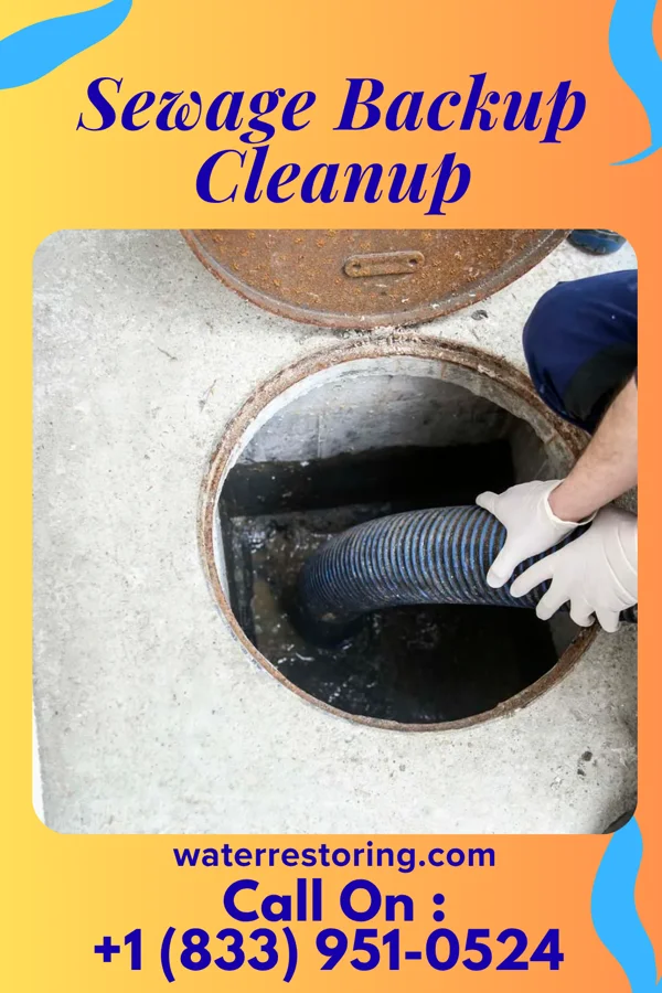 Sewage Backup Cleanup in Gratis, OH