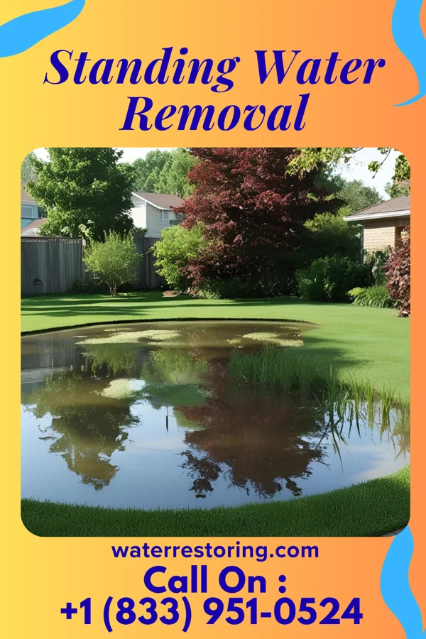 Standing Water Removal in Gratis, OH